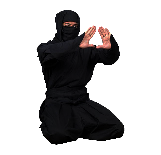 //bujinkan-cv.ninpo.cz/wp-content/uploads/2024/02/shinobi2-png.png